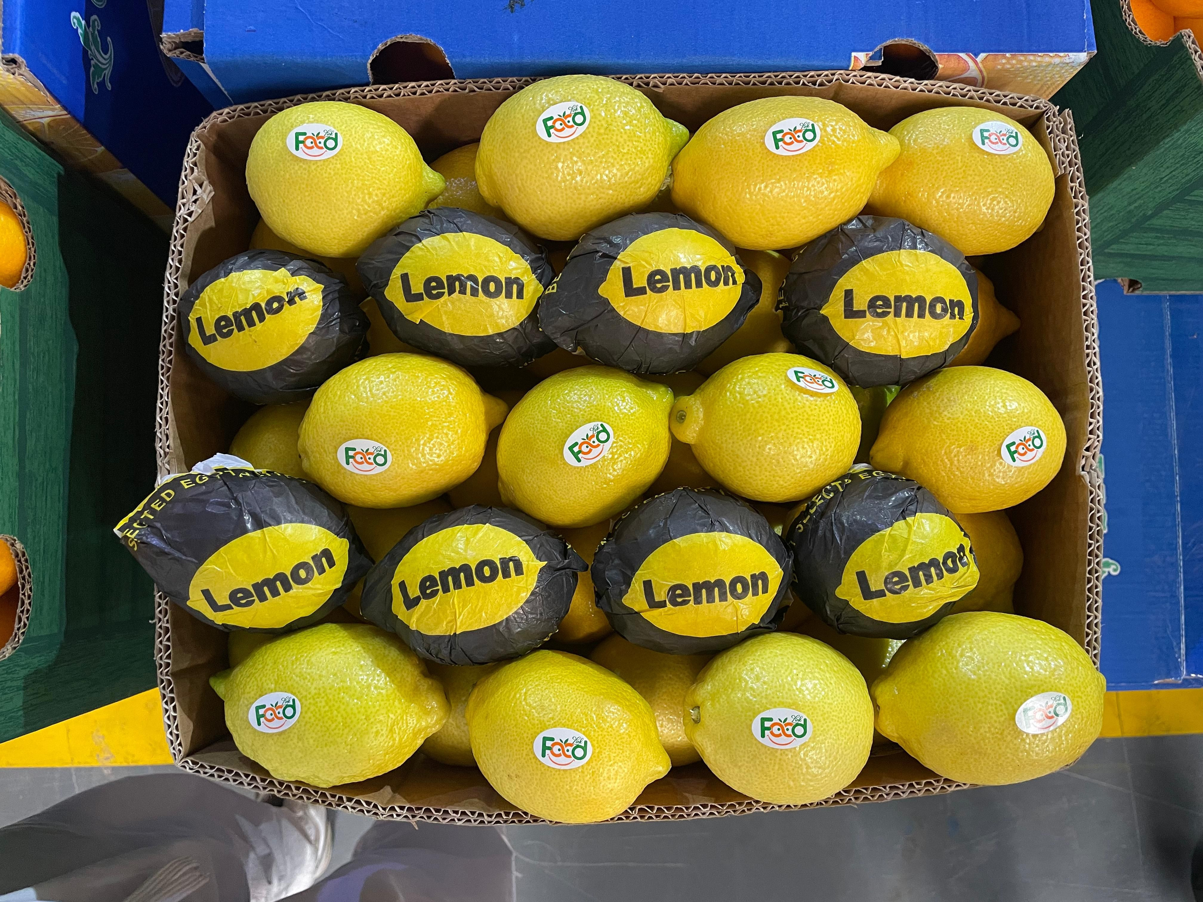 Buy Lemon from Foodlink, Egypt | Tradewheel.com