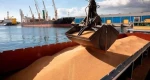 DRY BULK CARGO.  ALL TYPES . PROFESSIONAL TRADER
