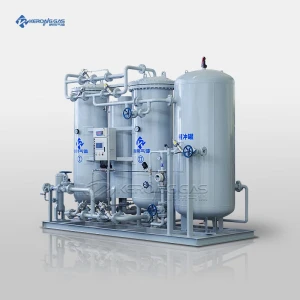 Nitrogen Generator for Food Packaging, Small PSA Nitrogen Machine, On-Site Nitrogen Supply, Real-Time Nitrogen Monitor