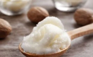 Shea butter raffined or unrefined