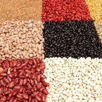 SURGAR BEANS