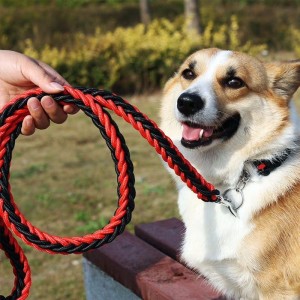 Dog Chain  Dog Leash
