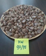 Betel Nut From Indonesia