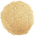 Top Selling New Crop Whole Pearl Millet Best Quality Bulk Quantity Non-GMO Nutritious Whole Grain at Wholesale Price