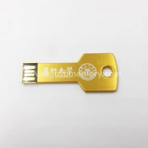 SK-005 personalized aluminium key usb flash drive 4gb 8gb 16gb