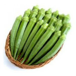 Quality Cheap Green Okra for sale