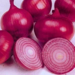 Fresh Onion Export Quality Fresh Onion Natural Fresh Onion Selected Carefully For Maximum Freshness And Color