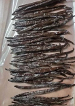 vanilla