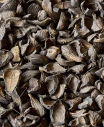 Palm Kernel Shell