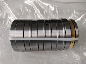 Tandem roller bearing  F-87920-0100.T8AR  in rubber extrusion gearbox