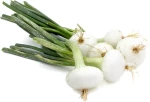Premium Bianca di Maggio Onions wholesale