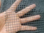 Debris net