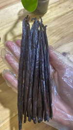 Vanilla Beans Grade Gourmet Premium – Planifolia