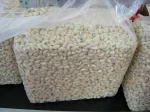 Cashew Nuts Available in Stock...