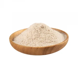 Wholesale Whey Protein Powder