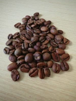 PREMIUM ROBUSTA COFFEE BEANS