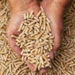 Wood Pellet