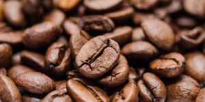 Premium Quality Roasted Coffee Bean
