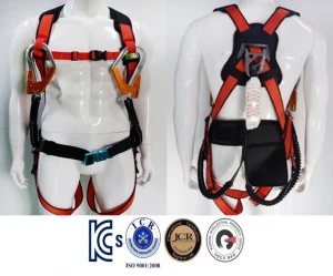 Patented fall protection safety harness with double hook