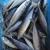 Frozen Pacific Mackerel Fish