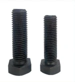 Steel Structure Bolt
