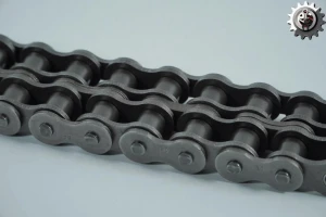 Roller Chain and Bushing Chains
