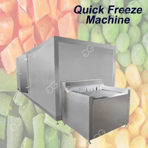 High Quality Automatic  Food Freeze Drying Machine /Tunnel Quick Freezing Machine