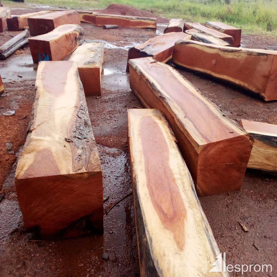 Buy Mahogany Wood Logs from Wintercorn Import & Export Global Trading