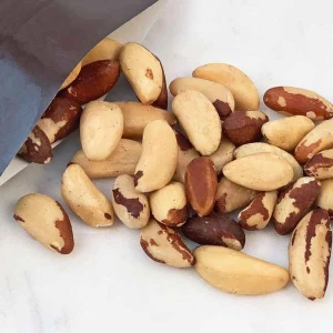 Brazil Nut Natural Whole Kernel Bulk Supply With Moisture Control And Secure Packaging