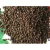 Import Sun Dried Black Pepper 5mm from Hungary