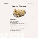 Fresh Ginger in best price