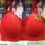 Import 0.96USD ESCROW PAYMENT Factory Wholesale Sexy Fancy Bra/Underwear/latest sexy fancy bra, CAN 600PCS MIXING ITEMS ( gdwx378) from China