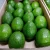 Import Hass Avocado from Ecuador