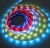 Import 10mm 5050 rgb 1903 2812b address ws2811 flexible strip 12v cuttable Led Rope Light from China