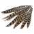 Import 110cm Gold Pheasant Feather Reeves Pheasant Tail Feather from China