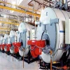 2-20T Automatic Industrial Gas  Oil Fired Steam Boiler