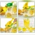 Import 2 in 1 manual citrus press juicer  premium quality metal lemon lime squeezer from China