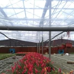 200 micron greenhouse PE plastic film for agriculture