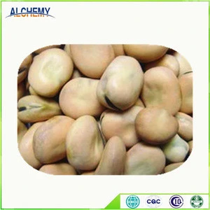 2016 New products bulk dry fava beans