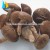 Import 2017 New Crop Chinese Frozen shiitake mushroom for sale from China