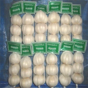 2018 Chinese fresh garlic manufacturer