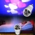 Import 2018 Europe market home party decoration projector shows easter holiday living lights from China