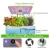 Import 2020 Creative mini smart garden for plants indoor Smart garden hydroponic flower planter Home Garden Flower Pots with Led Light from China