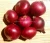 Import 2020 crop fresh red onion for sale with best price from Egypt