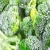 Import 2020 New Crop IQF Frozen Broccoli And Frozen Vegetables from China