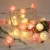 Import 2021 New Arrival Indoor Christmas Decoration Battery USB Powered Remote Control 8 Functions Rose Box Fairy LED String Light from China