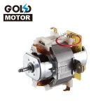 220V customized small kitchen appliance carbon brush stepping grinder juicer motor