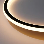 28W  surface mounted decorative round led ceiling light