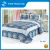 Import 3PCS polyester quilt set from China