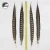 Import 6-8 Inch(15-20 cm)High quality natural color Brazilian carnival lady Amherst pheasant feathers for performances from China